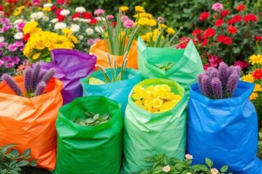 como-escolher-o-fertilizante-ideal-para-cada-tipo-de-planta
