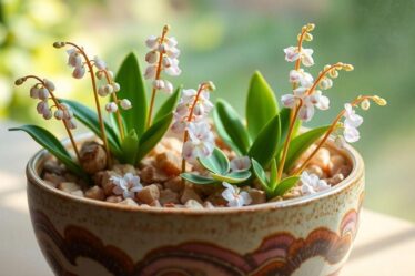 como-fortalecer-orquideas-com-fertilizantes-naturais-e-substratos-adequados