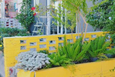 beneficios-do-bokashi-na-agricultura-urbana-com-dicas-praticas-da-gold-plant-para-resolver-problemas