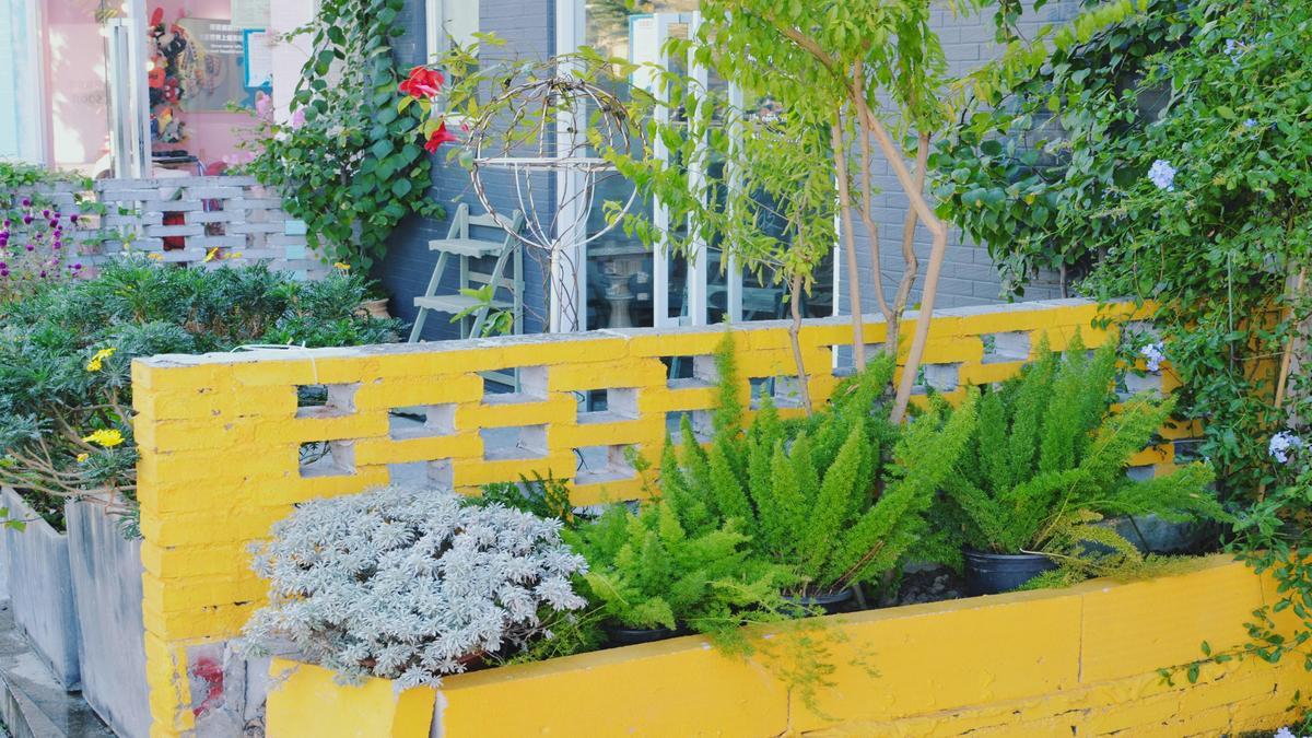 beneficios-do-bokashi-na-agricultura-urbana-com-dicas-praticas-da-gold-plant-para-resolver-problemas