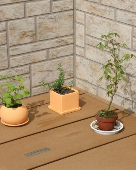 por-que-o-bokashi-e-ideal-para-plantas-ornamentais-e-como-usar-fertilizantes-substratos-e-insumos-go
