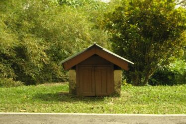 compostagem-domestica-guia-para-iniciantes-dicas-praticas-de-jardinagem-com-fertilizantes-substratos