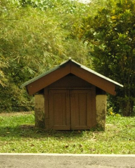 compostagem-domestica-guia-para-iniciantes-dicas-praticas-de-jardinagem-com-fertilizantes-substratos