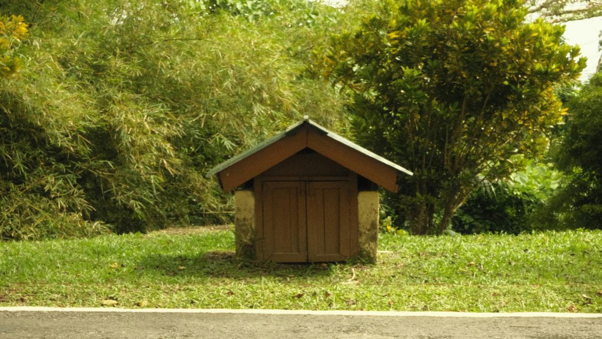 compostagem-domestica-guia-para-iniciantes-dicas-praticas-de-jardinagem-com-fertilizantes-substratos
