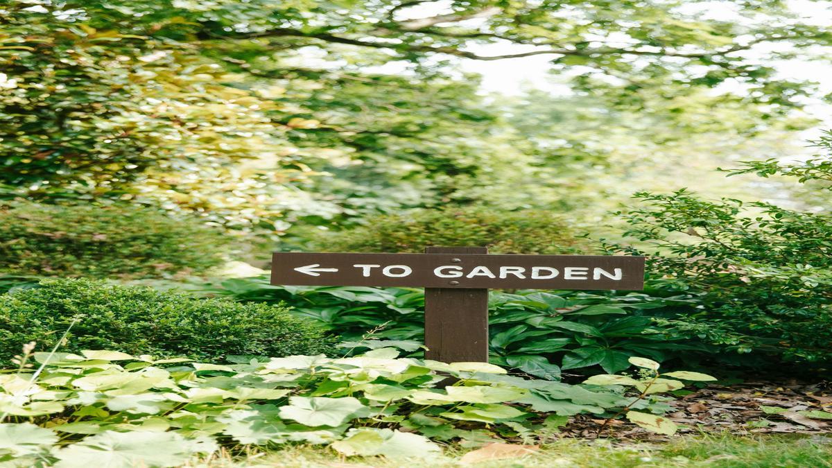 jardinagem-como-terapia-beneficios-para-o-bem-estar-com-dicas-praticas-da-gold-plant-sobre-fertiliza