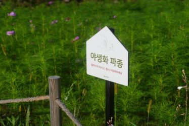 aprenda-como-fazer-fertilizante-organico-liquido-em-casa-com-dicas-praticas-de-jardinagem-e-produtos