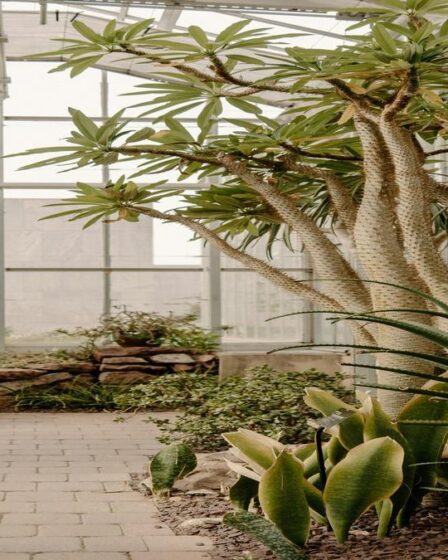como-fazer-um-terrario-com-adubacao-organica-com-dicas-praticas-da-gold-plant-para-escolher-fertiliz