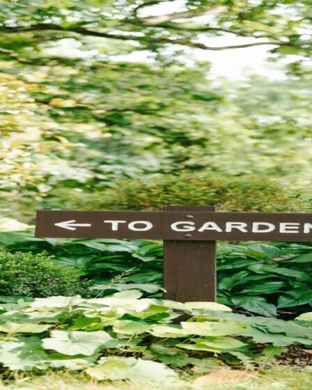 jardinagem-para-iniciantes-o-que-plantar-primeiro-e-dicas-praticas-com-fertilizantes-substratos-e