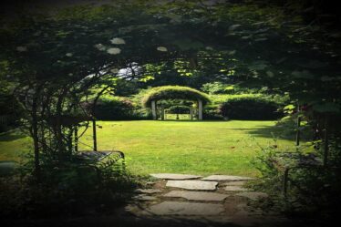 por-que-o-solo-precisa-de-materia-organica-dicas-praticas-de-jardinagem-com-fertilizantes-substrato