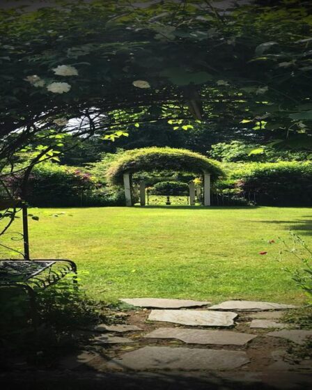 por-que-o-solo-precisa-de-materia-organica-dicas-praticas-de-jardinagem-com-fertilizantes-substrato
