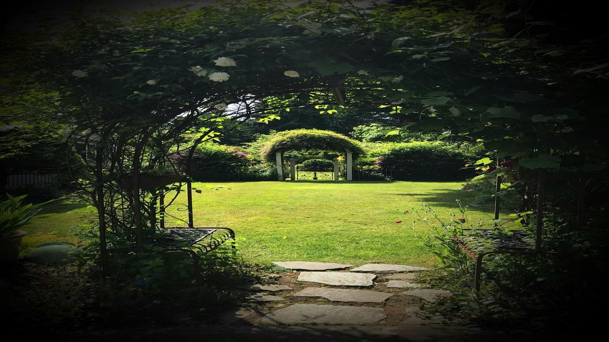 por-que-o-solo-precisa-de-materia-organica-dicas-praticas-de-jardinagem-com-fertilizantes-substrato