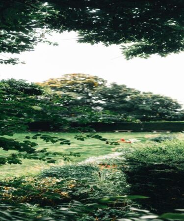 qual-o-melhor-adubo-natural-para-flores-de-corte-dicas-praticas-da-gold-plant-para-fertilizar-escol