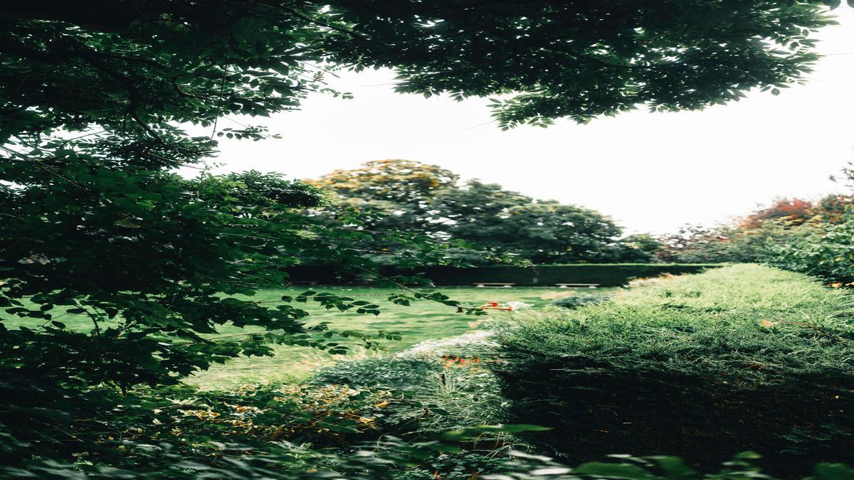 qual-o-melhor-adubo-natural-para-flores-de-corte-dicas-praticas-da-gold-plant-para-fertilizar-escol